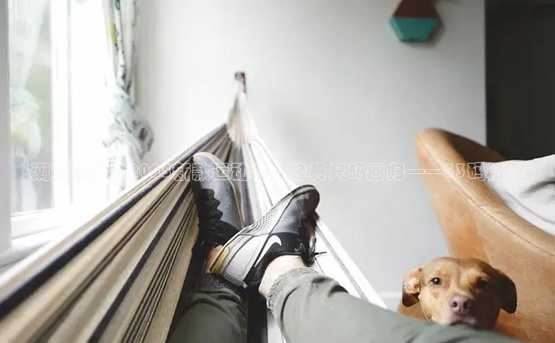 潮流趋势：2025新款运动鞋，经典尺码回归——33码精选